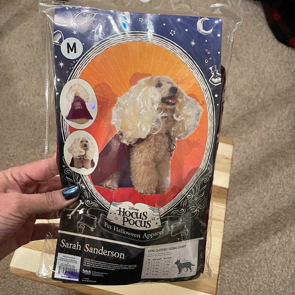 Disney's Hocus Pocus Dog Halloween Costume. It's Sarah Sanderson!  Size MED  NWT